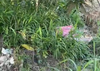 Pizzaiolo é encontrado degolado em área de mata em Manaus