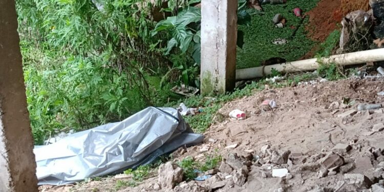 Canoeiros encontram corpo boiando em igarapé no bairro Aparecida