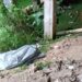 Canoeiros encontram corpo boiando em igarapé no bairro Aparecida