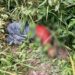 Homem foi torturado, assassinado e encontrado com saco na cabeça, na Zona Leste