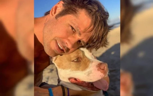 Pit-bull vegana de Dado Dolabella ataca vizinhos: ‘Anos sem carne’