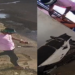 Vídeo: Mulher é roubada sentada dentro de casa por ladrão que chega apontando arma