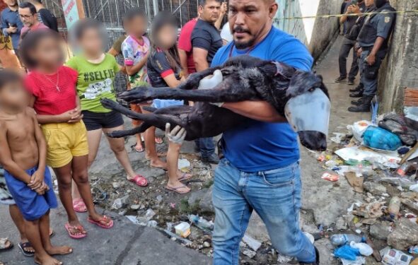 Dois homens são mortos e cachorro é baleado ao tentar defender as vítimas em Manaus