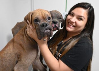 Raio-X da política: Joana Darc gasta mais de um milhão em Cotão enquanto luta para não ser cassada