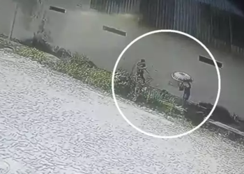 Homem é preso suspeito de matar a própria mãe com mais de 40 facadas