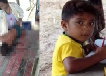 Criança indígena é atacada por jacaré enquanto tomava banho em rio