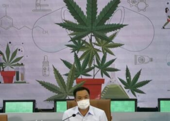 Ministério da Saúde vai dar 1 milhão de mudas de maconha para a população fumar à vontade