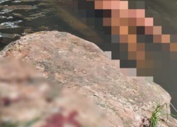 Homem sai para caminhar e encontra travesti morta boiando em igarapé de Manaus