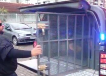 Em Manaus, homem é preso por estuprar enteada; mãe sabia e “sempre perdoava”