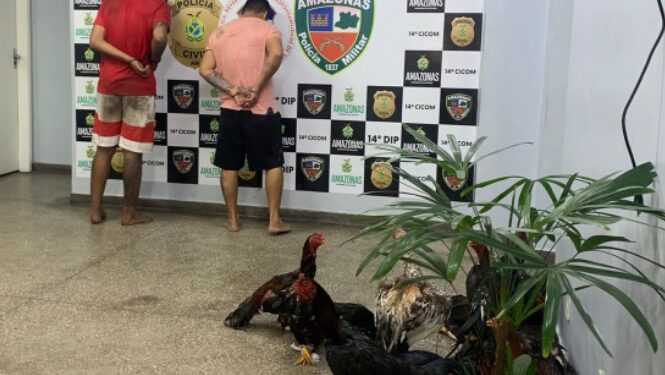 Polícia estoura rinha de galo e prende membros de facção na Zona Leste