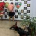 Polícia estoura rinha de galo e prende membros de facção na Zona Leste