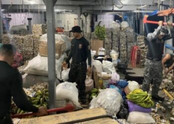 Traficantes do Amazonas escondem 70 quilos de droga em latinhas de cerveja amassadas