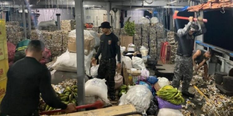 Traficantes do Amazonas escondem 70 quilos de droga em latinhas de cerveja amassadas