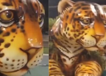 Vídeo: monumento erguido na zona Leste vira meme na internet: ‘Onça triste do Zumbi’