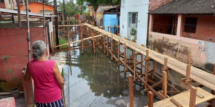 ‘Inundação severa’, alerta Serviço Geológico para cheias no Amazonas