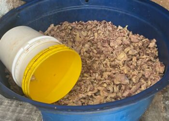 Mais de 1 tonelada de charque e linguiça inapropriados são apreendidos na Zona Norte de Manaus