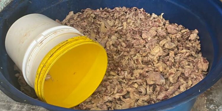 Mais de 1 tonelada de charque e linguiça inapropriados são apreendidos na Zona Norte de Manaus