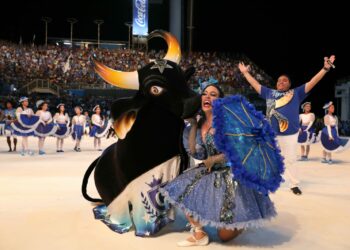 Torcida arrochada do Caprichoso lota arquibancada do Bumbódromo em noite de passagem de som