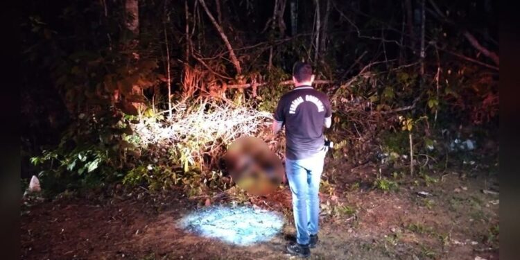 Corpo de homem é encontrado carbonizado em área de mata no Tarumã