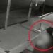 Será vingança? ‘Cagão’ defeca em bar e espalha fezes com as mãos na mesa de sinuca