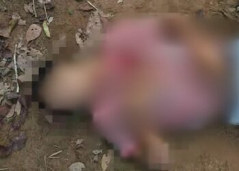 Em discussão com o namorado, jovem pede ajuda e tio dela mata rapaz a tiros, no AM