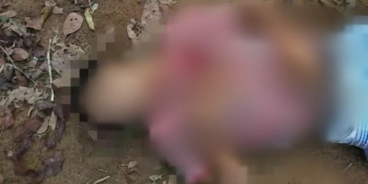 Em discussão com o namorado, jovem pede ajuda e tio dela mata rapaz a tiros, no AM