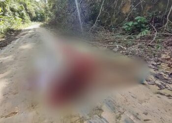Mulher é levada para ramal e executada com tiro na cabeça na Zona Norte de Manaus