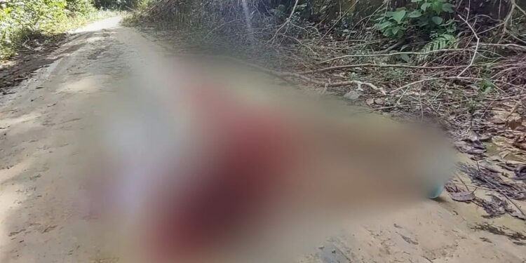 Mulher é levada para ramal e executada com tiro na cabeça na Zona Norte de Manaus