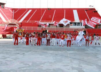 Festival Folclórico de Parintins inicia no dia 24 com a apresentação do boi Garantido