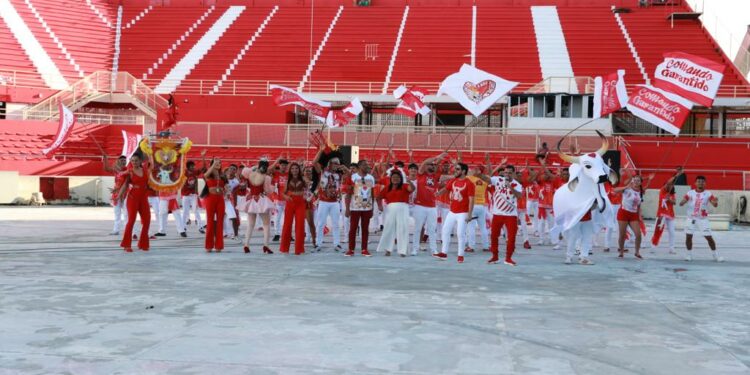 Festival Folclórico de Parintins inicia no dia 24 com a apresentação do boi Garantido