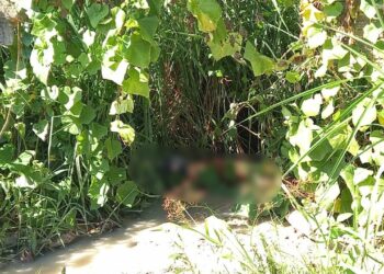 Catador de lixo encontra corpo com corda no pescoço no meio do mato em Manaus