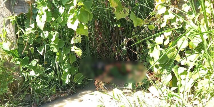 Catador de lixo encontra corpo com corda no pescoço no meio do mato em Manaus