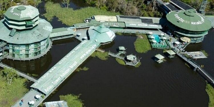 Hotel de selva dos famosos e ricos, Ariaú tem falência decretada pela Justiça