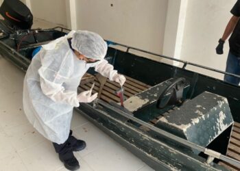 Perícia encontra sangue em canoa de suspeito no desaparecimento de indigenista e jornalista