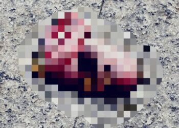 Fetos são encontrados em antigo prédio no Centro de Manaus