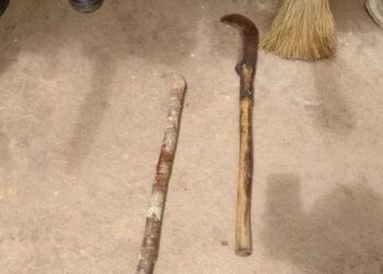 Para salvar mãe de agressões, adolescente mata padrasto a golpes de foice