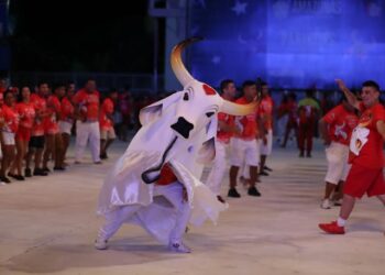 Passagem de som do Garantido emociona torcedores e diretoria faz últimos ajustes
