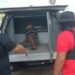 Autista de 12 anos é estuprado por idoso de 74 anos que já matou criança de 10, em Manaus