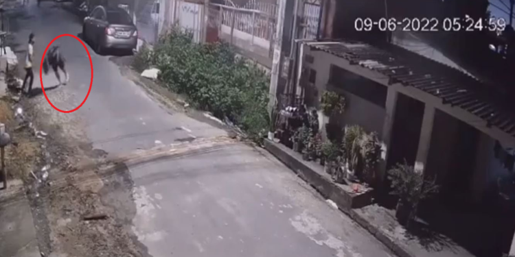 Vídeo: Idoso de 63 anos é assassinado com tiros no rosto ao reagir a assalto na Zona Norte