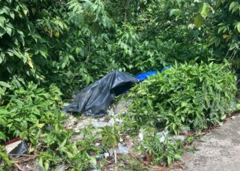 Morto a facadas, enrolado em lona e jogado na beira de avenida do Tarumã