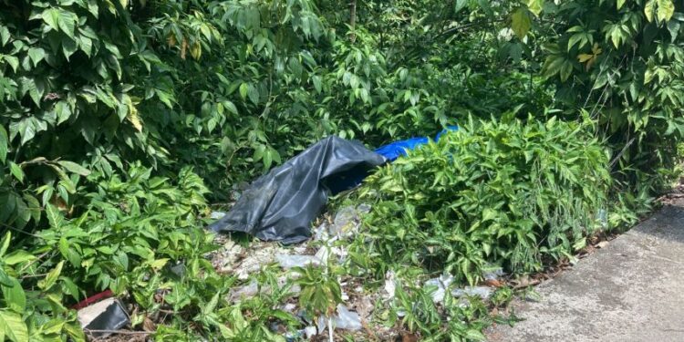 Morto a facadas, enrolado em lona e jogado na beira de avenida do Tarumã