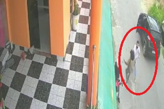 Vídeo: passageira é empurrada por motorista de APP em Manaus