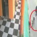 Vídeo: passageira é empurrada por motorista de APP em Manaus