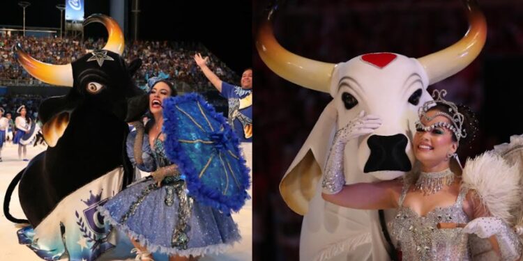 Aos que não foram, Festival de Parintins será transmitido no Largo de São Sebastião