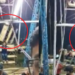 Vídeo: Cadeira de roda-gigante se desprende e homem cai de altura de 3 metros, na ZL