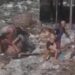 Vídeo: ‘Talarica’ é pega na porrada no meio de área alagada com lixo e pitiú