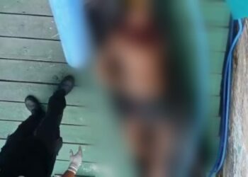 Vídeo: Corpo encontrado em igarapé no Centro de Manaus teve o coração arrancado