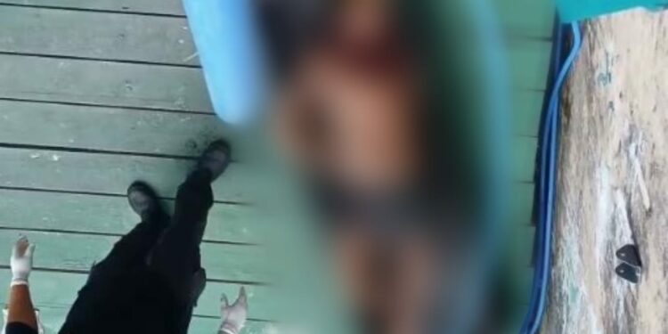 Vídeo: Corpo encontrado em igarapé no Centro de Manaus teve o coração arrancado