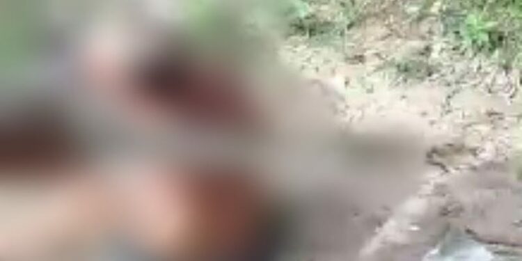 Idoso suspeito de estupro morre por linchamento de traficantes do Tribunal do Crime em Manaus