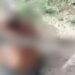 Idoso suspeito de estupro morre por linchamento de traficantes do Tribunal do Crime em Manaus